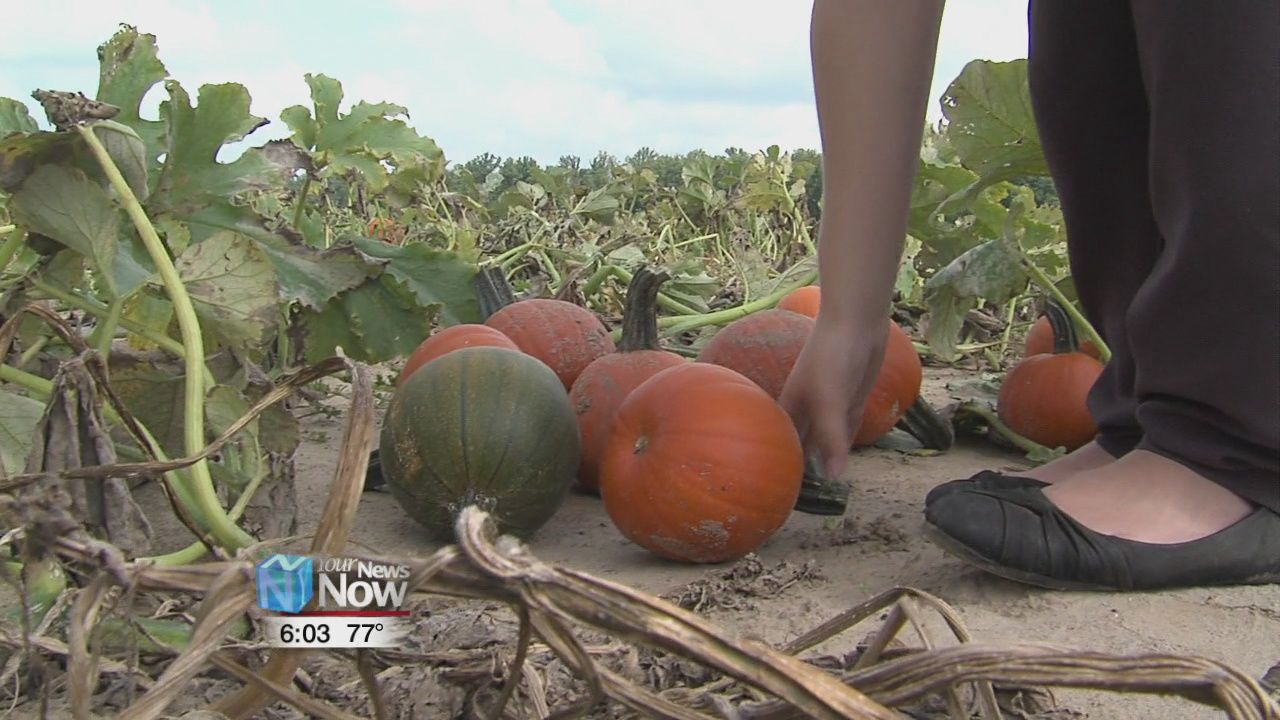 Suter Produce opens up for fall activities 1.jpg